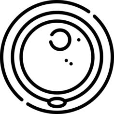 Ovum