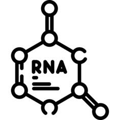 RNA