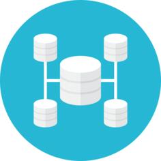Network