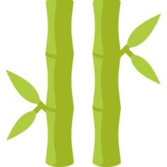 Bamboo