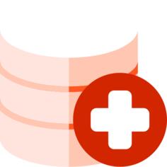 Database