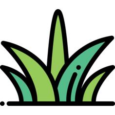草