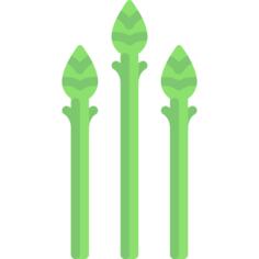 Asparagus