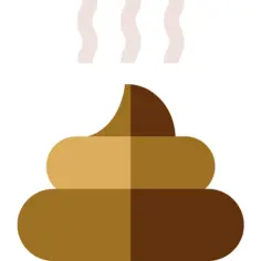 Poop