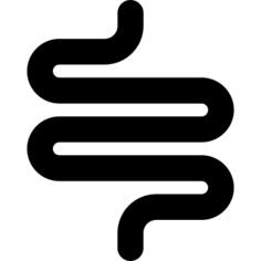 Intestine