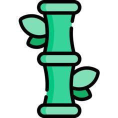 Bamboo