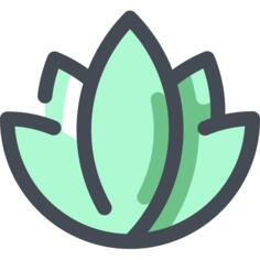 莲花