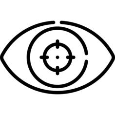 Vision