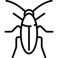 Cockroach