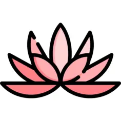 莲花