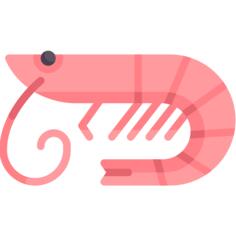 Shrimp