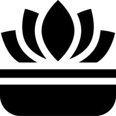 莲花
