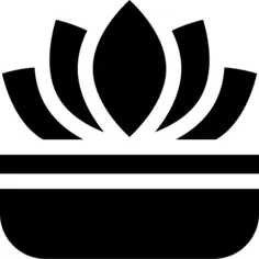 莲花