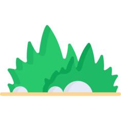 草