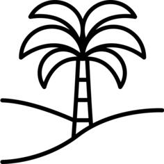 沙漠