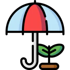 雨伞