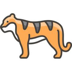 虎
