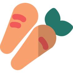 Carrot