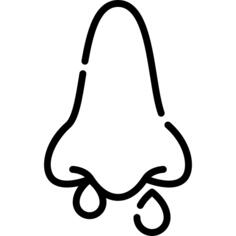 鼻子