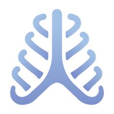 肋骨