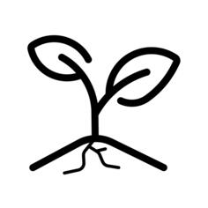 Growth
