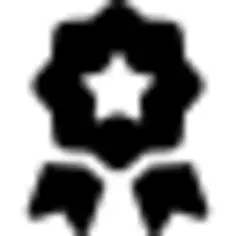 星形的奖牌与丝带尾巴