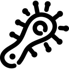 Protist
