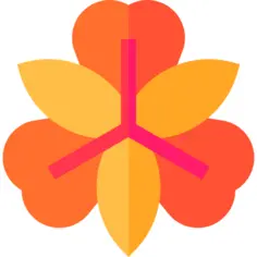 六出花