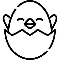 小鸡