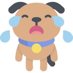 狗