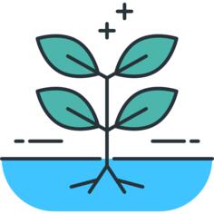 Growth