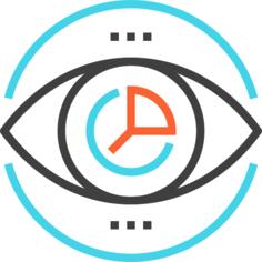 Vision