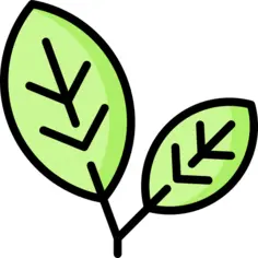 树叶
