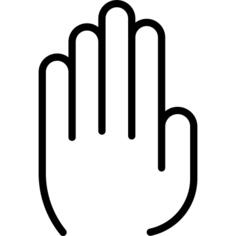 Palm
