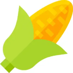 Corn