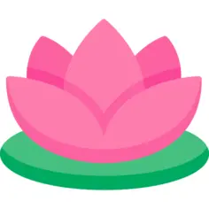 莲花