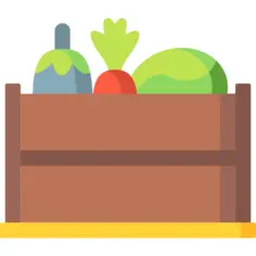Vegetable