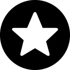 圈内的明星