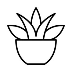 水晶球
