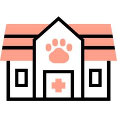 动物的轨道