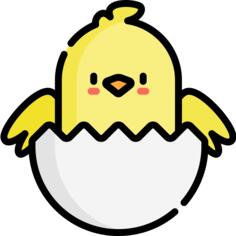 小鸡
