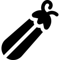 Zucchini