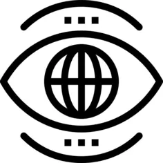 Vision