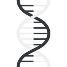 Dna
