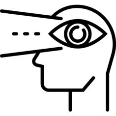 Vision