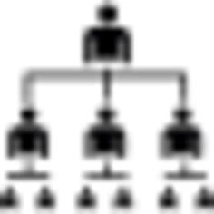 Hierarchical order