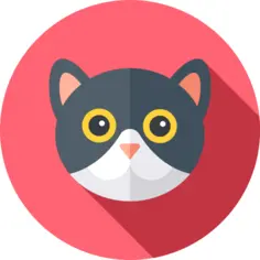 猫