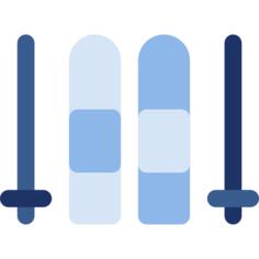 Ski