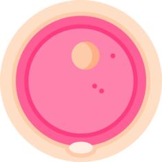 Ovum