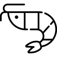 Shrimp